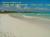 REPUBLIQUE DOMINICAINE, Punta cana - plage du sud - pause d'une excursion en quads, couleurs intenses, toiles de mer caches dans les algues, il fait chaud, on se mouille !.