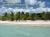 REPUBLIQUE DOMINICAINE, le de Saona - accessible par bayahibe, une le paradisiaque peu habit, au sable fin, parseme de cocotiers et aux eaux turquoises et brillantes; comme dans vos rves!.