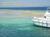 EGYPTE, Hurghada - ile de tobia - ancrage du bateau pour observer les poissons tropicaux et les coraux de toutes couleurs sur les patates. magnifique. un bon appareil photo tanche est prconis car il y a vraiment de belles photos  faire . la journe est ddie au snorkeling avec un arrt court sur l'le de tobia (rien  voir) au retour. .