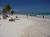 MEXIQUE, Plage Paraiso - Tulum - Yucatan - la grande plage de paraiso  5 minutes au sud de tulum, est le top des plages de la riviera maya. les carabes au mexique sont une destination de choix pour les amoureux du farniente avec une foule d'animations et de possibilits de sorties en toute scurit.  .