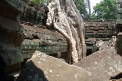 Angkor Tom, Angkor Vat, Cambodge