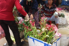 Cambodge, marché, fleurs