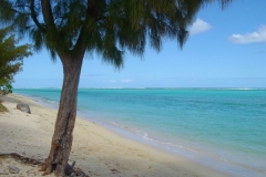 Ile Maurice, plage, lagon, turquoise