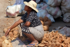 Madagascar, femme, vendeur, noix de coco