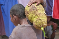 Madagascar, homme, fruit