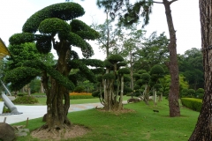 Malaisie, jardin