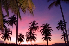 coucher de soleil, palmier, Las Galeras, République Dominicaine, Caraïbes