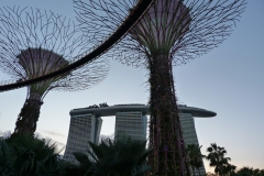 Singapour, Jardins de la Baie, Gardens by the Bay