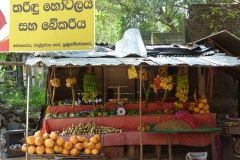 Sri Lanka vendeur de fruits exotiques
