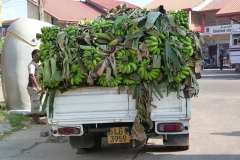 Sri Lanka Camion de bananes vertes