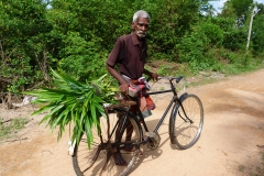 Sri Lanka, Vieil homme en vélo