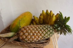 Sri Lanka, ananas, bananes et papayes
