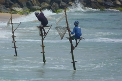Sri Lanka pêcheurs sur pieux