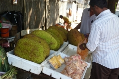 Sri Lanka vendeur de jacquiers fruit jaune