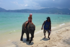 Thaïlande, Phuket, Patong, freedom beach, plage au sud avec éléphants