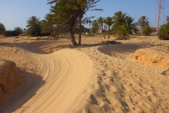 Tunisie, Djerba piste sable de buggys et quads