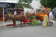 Tunisie, Nabeul cheval et calèche