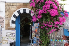 Tunisie, Sidi Bou Saïd, porte bleue