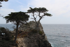 USA, Côte ouest, Monterey