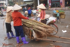 Vietnam, vendeuses de cannes à sucre