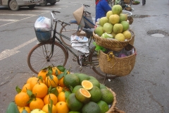 Vietnam, vente de fruits sur un vélo