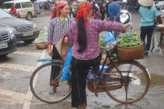 Vietnam, vendeuses d'herbes aromatiques