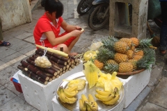 Vietnam, vente de fruits