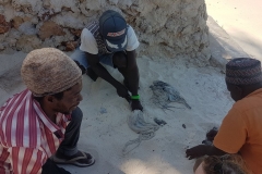 Zanzibar - pêcheurs de poulpes