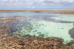 Zanzibar - Jambiani - lagon bleu