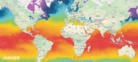 températures mondiales de baignade en mer