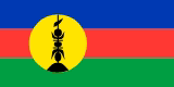 Drapeau officiel NOUVELLE-CALEDONIE