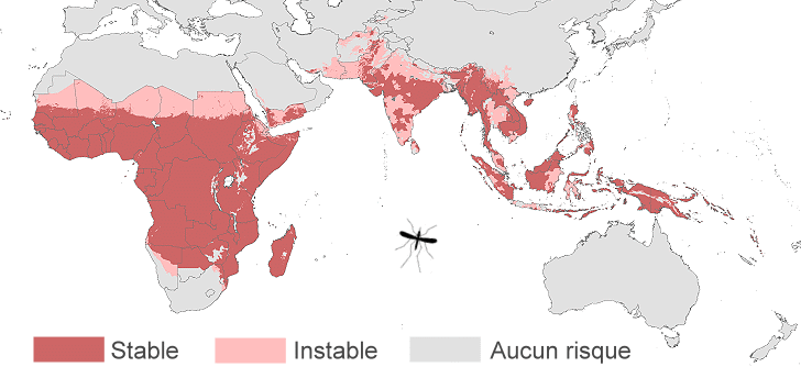 Carte mondiale du paludisme (Malaria) et de la dengue en Asie, Afrique