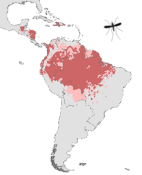 Carte mondiale du paludisme (Malaria) et de la dengue dans les Caraïbes et Amérique