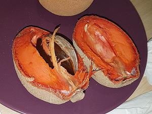 Sapote mamey