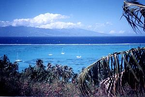 Barrire de corail sur lagon ferm.