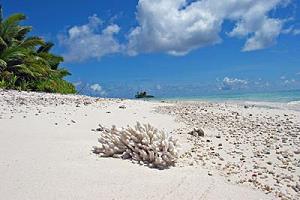 Corail dans le pied, attention au coupures coralliennes