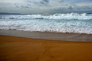 Plage de sable brun d'Australie