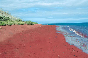 Plage de sable rouge des Galapagos