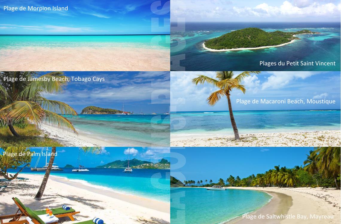 Plages des Grenadines / Moustique et St Vincent