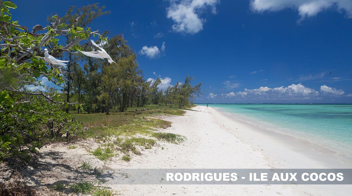 Ile aux Cocos à Rodrigues, océan indien