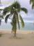 LA REUNION, Trou d’eau - filaos et plage de sable blanc à trou d’eau, lagon avec barrière de corail. l’eau est claire et riche en faune et flore sous marine..