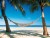 BAHAMAS, Bahamas - hamac entre 2 coctiers, le rve !.