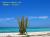 ARUBA, Plage de Arashi - plage de arashi.