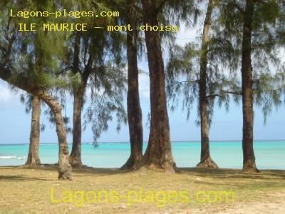 Plage de l' ILE MAURICE  Mont choisy