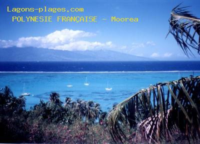 Plage de la POLYNESIE FRANAISE  Moorea