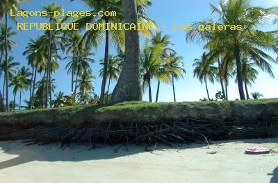 Plage de la REPUBLIQUE DOMINICAINE  Las galeras, plage de l'htel