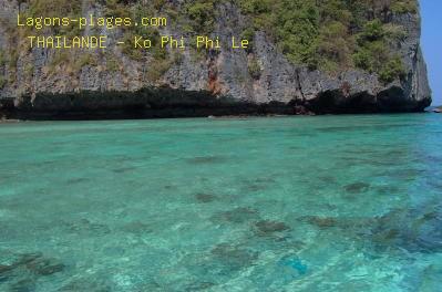 Plage de la thailande  Le film LA PLAGE tourn  Maya Bay sur Ko Phi Phi Le