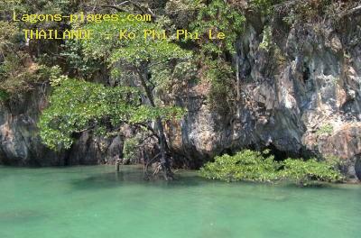 Plage de la thailande à Ko Phi Phi Le, eau turquoise et mangrove