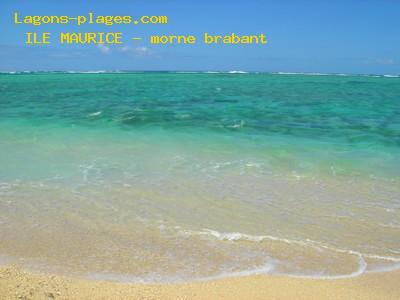 Plage de l' ILE MAURICE  Coraux et de coquillages du Morne Brabant