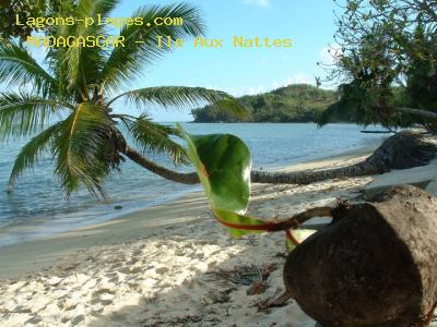 Plage de madagascar  Ile Aux Nattes